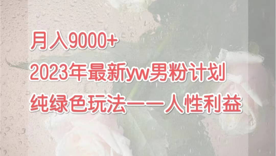 月入9000 2023年9月最新yw男粉计划绿色玩法——人性之利益-黑猫轻创业