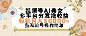 视频号AI美女,轻松月入30000+,操作简单轻松上手-黑猫轻创业