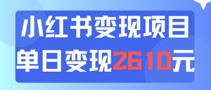利用小红书卖资料单日引流150人当日变现2610元小白可实操(教程+资料)-黑猫轻创业