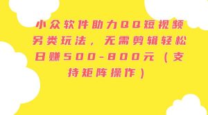 小众软件助力QQ短视频另类玩法，无需剪辑轻松日赚500-800元（支持矩阵...-黑猫轻创业