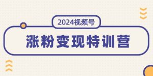 2024视频号-涨粉变现特训营:一站式打造稳定视频号涨粉变现模式(10节)-黑猫轻创业