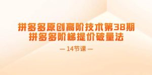 拼多多原创高阶技术第38期，拼多多阶梯提价破量法（14节课）-黑猫轻创业