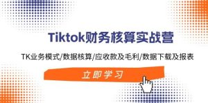 Tiktok财务核算实战营：TK业务模式/数据核算/应收款及毛利/数据下载及报表-黑猫轻创业