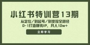小红书特训营13期,从定位/到起号/到变现全路径,0-1打造赚钱IP,月入10w+-黑猫轻创业