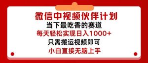 微信中视频伙伴计划,仅靠搬运就能轻松实现日入500+,关键操作还简单,...-黑猫轻创业