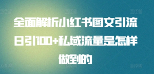 全面解析小红书图文引流日引100私域流量是怎样做到的-黑猫轻创业