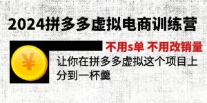 2024拼多多虚拟电商训练营 不s单 不改销量  做虚拟项目分一杯羹(更新10节)-黑猫轻创业