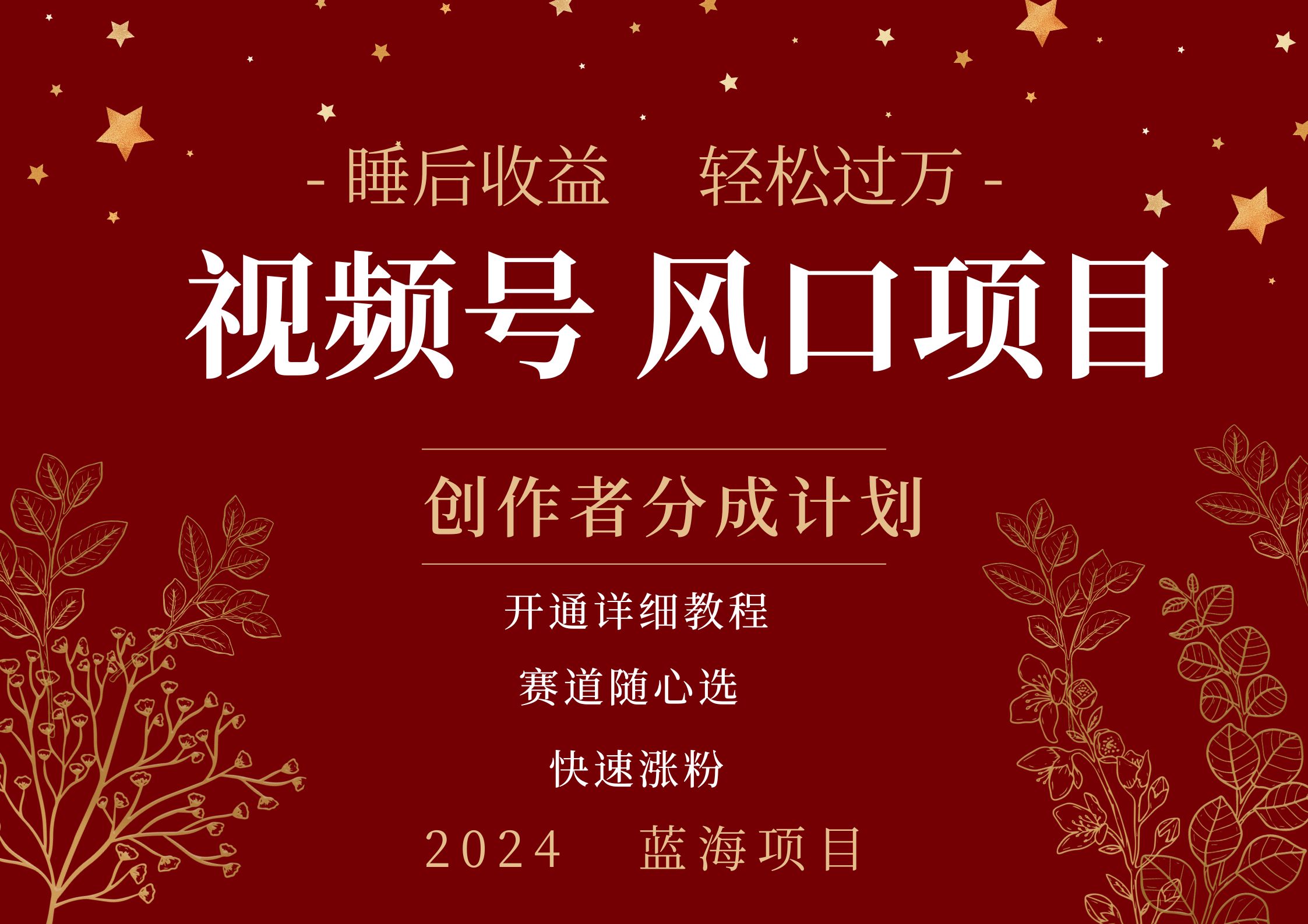 拥有睡眠收益的微信视频号大风口项目,轻松月入过万+,多赛道选择,可矩阵,玩法简单轻松上手-黑猫轻创业