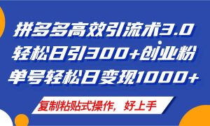 拼多多店铺引流技术3.0,日引300+付费创业粉,单号轻松日变现1000+-黑猫轻创业