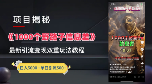 抖音一千个野路子信息差最新玩法教程-变现+引流的玩法具体拆解-黑猫轻创业