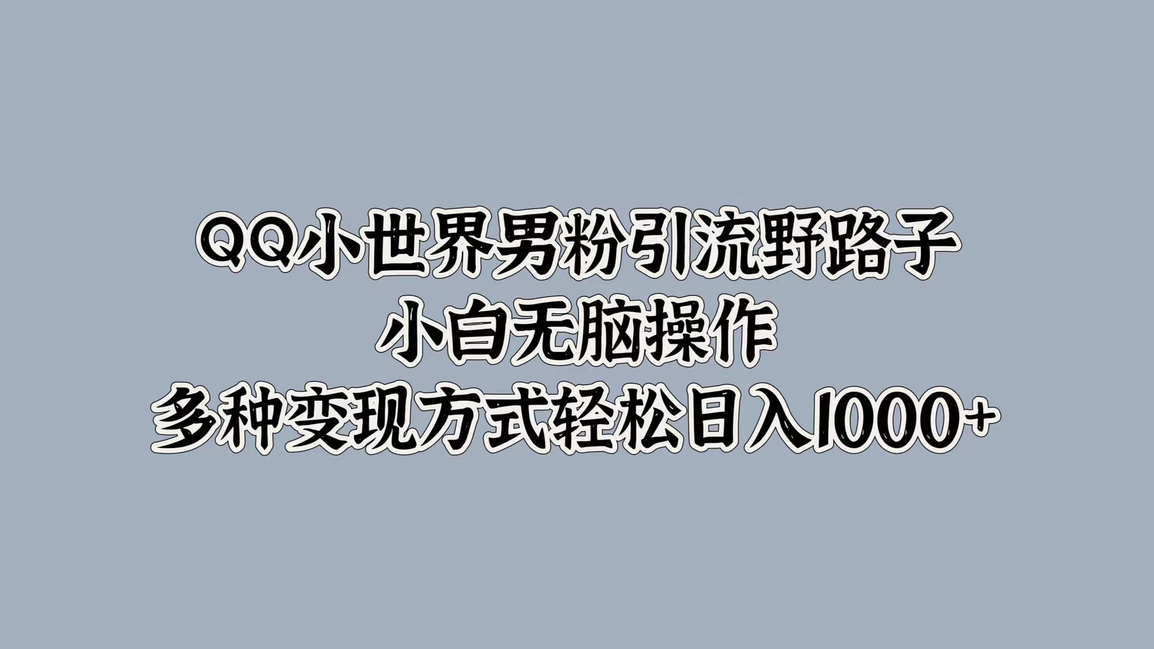 QQ小世界男粉引流野路子，小白无脑操作，多种变现方式轻松日入1000+-黑猫轻创业