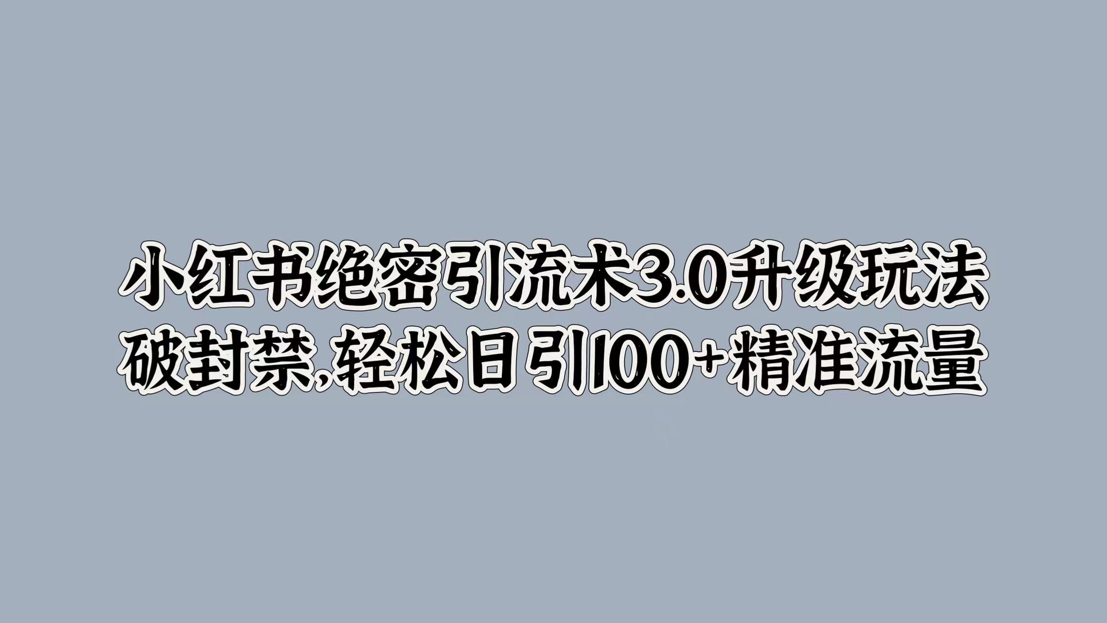 小红书绝密引流术3.0升级玩法,破封禁,轻松日引100+精准流量-黑猫轻创业