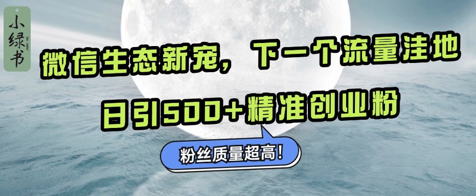 微信生态新宠小绿书:下一个流量洼地,粉丝质量超高,日引500+精准创业粉,-黑猫轻创业