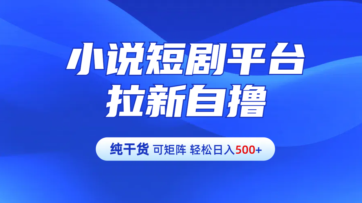 【纯干货】小说短剧平台拉新自撸玩法详解-单人轻松日入500+-黑猫轻创业