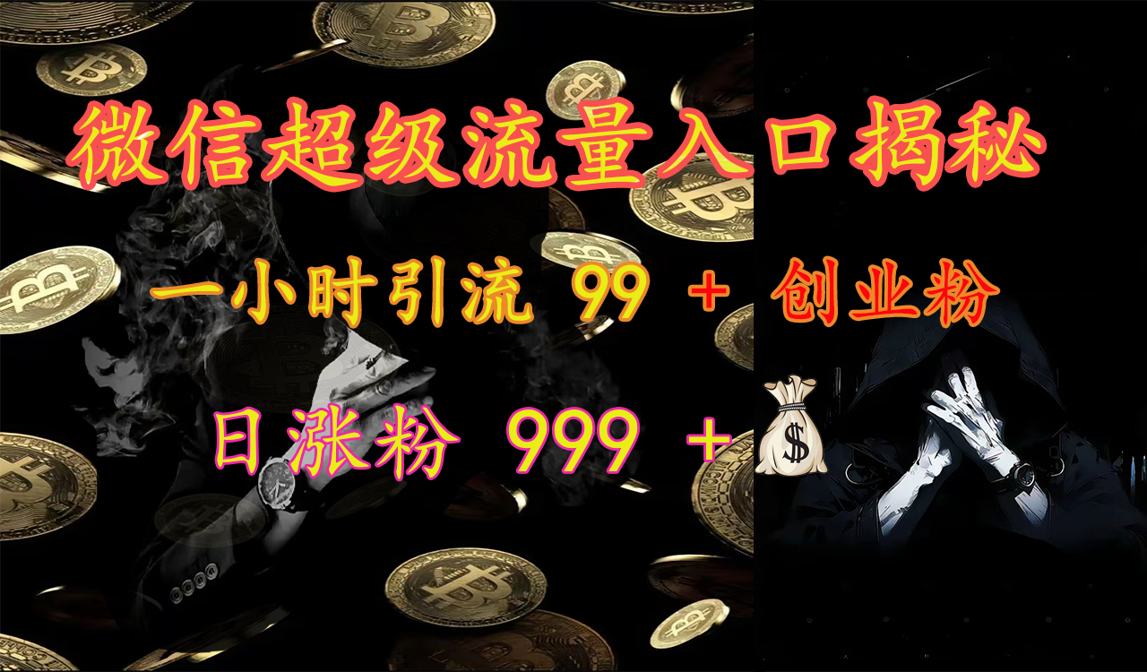 微信超级流量入口揭秘:一小时引流 99 + 创业粉,日涨粉 999 +【揭秘】-黑猫轻创业
