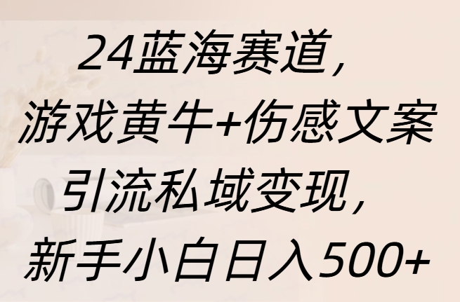 24蓝海赛道,游戏黄牛+伤感文案引流私域变现,新手日入500+-黑猫轻创业