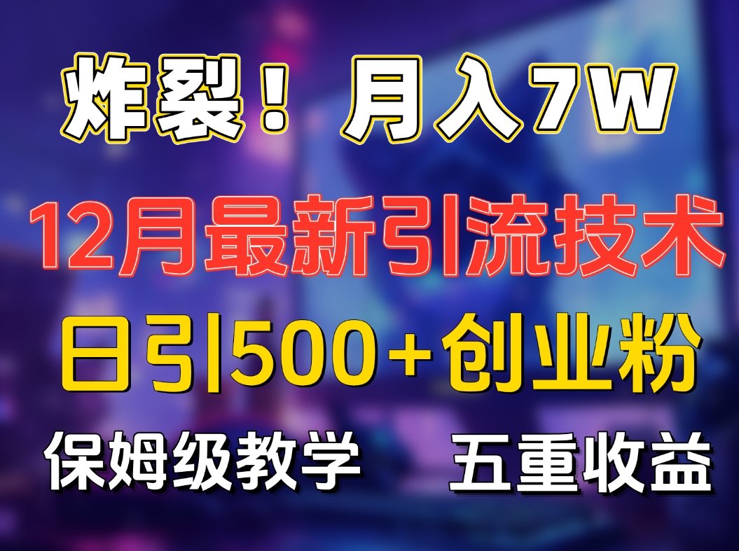 炸裂!月入7W+揭秘12月最新日引流500+精准创业粉,多重收益保姆级教学-黑猫轻创业