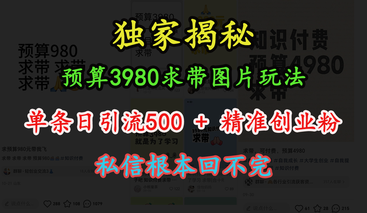 “小红书”预算3980求带 图片玩法,单条日引流500+精准创业粉,私信根本回不完-黑猫轻创业