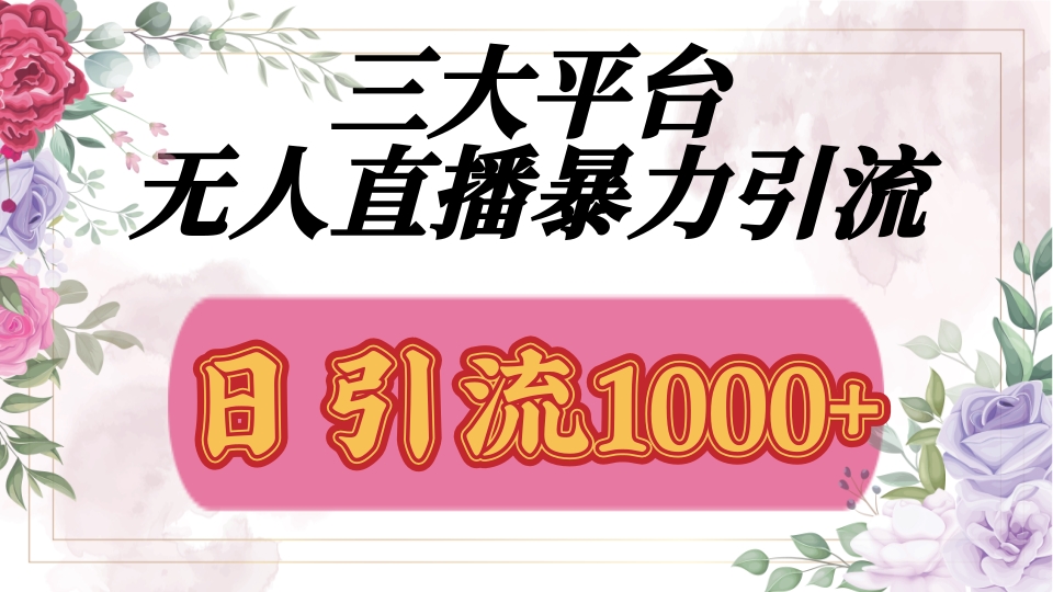 抖音,快手,视频号全平台通用,无人直播引流法,利用图片,模板,整套话术挂机全天支持矩阵操作,无限设备多开,超暴力引流,1000+高质量精准创业粉-黑猫轻创业