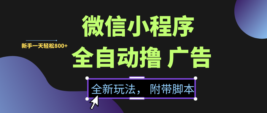 微信小程序挂机撸广告,全新玩法,新手一天轻松800+【附带脚本】-黑猫轻创业