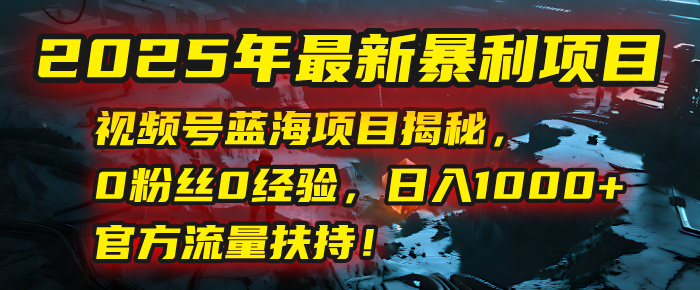 2025年最新暴利项目：视频号蓝海项目揭秘，0粉丝0经验，日入1000+，官方流量扶持！-黑猫轻创业