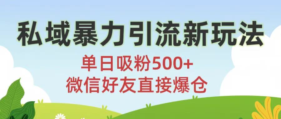 私域暴力引流新玩法!单日吸粉500+，微信好友直接爆仓-黑猫轻创业
