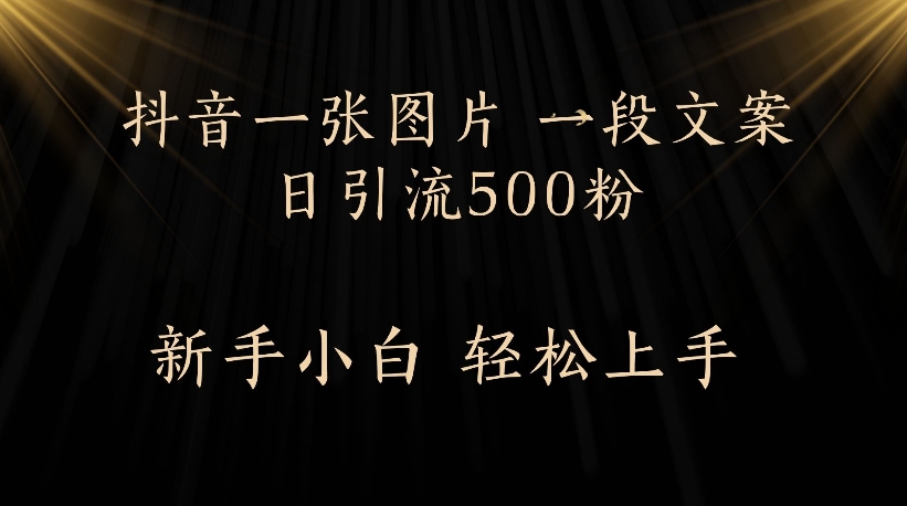 抖音一张图片,一段文案日引流500粉,新手小白 轻松上手-黑猫轻创业