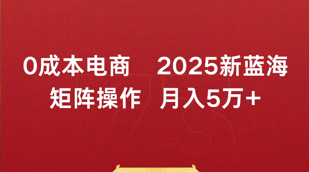 0成本电商2025新蓝海矩阵操作 月入5万+-黑猫轻创业