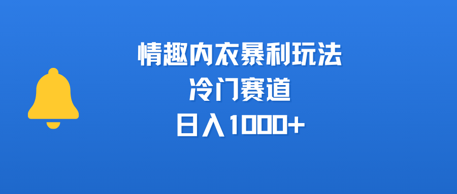 情趣内衣暴利玩法，冷门赛道，日入1000+-黑猫轻创业