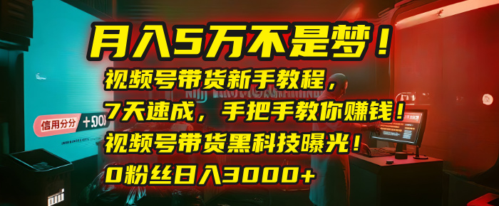 月入5万不是梦！视频号带货新手教程，7天速成，手把手教你赚钱！视频号带货黑科技曝光！0粉丝日入3000+-黑猫轻创业