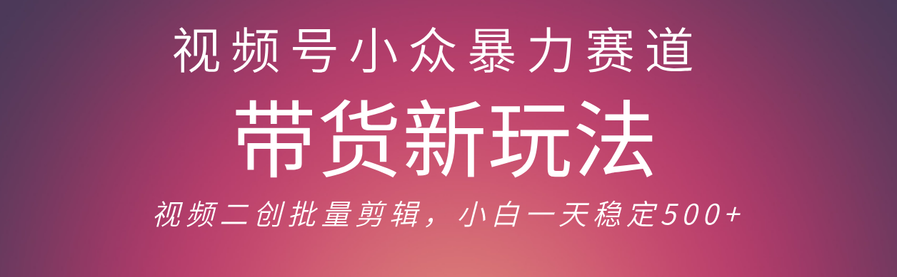 视频号小众暴力赛道,最新带货玩法 小白也能轻松日入500+ 保姆及教程-黑猫轻创业