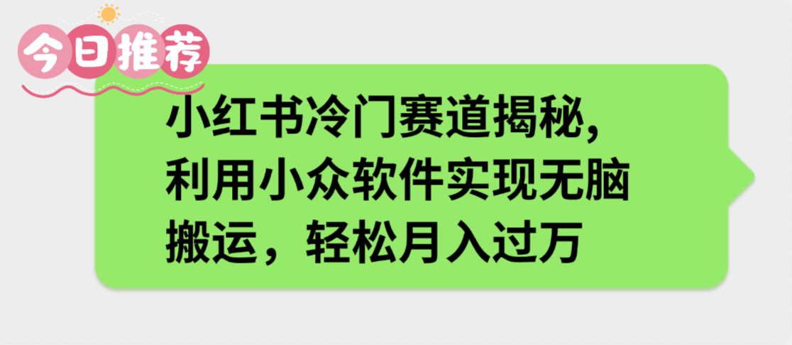 小红书冷门赛道揭秘,利用小众软件实现无脑搬运,轻松月入过万-黑猫轻创业