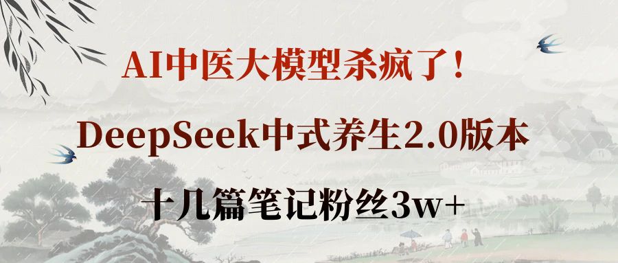 AI中医大模型杀疯了！DeepSeek中式养生2.0版本，十几篇笔记粉丝3w+-黑猫轻创业