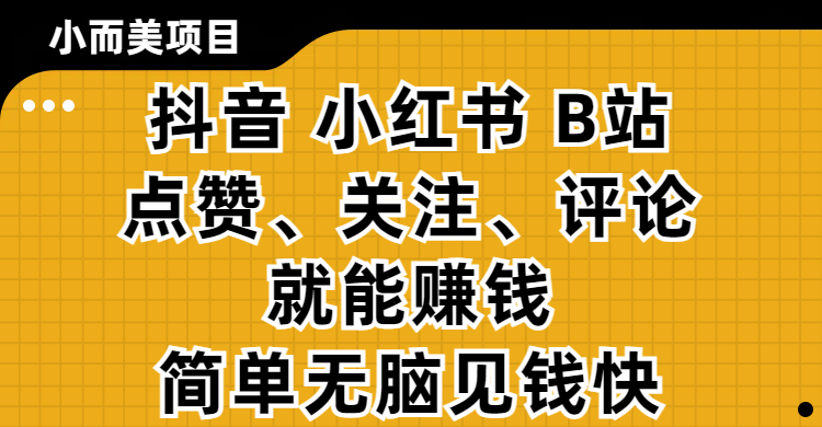 小而美的项目，抖音、小红书、B站视频点赞、关注、评论就能赚钱，简单无脑立见收益!妥妥的零撸项目-黑猫轻创业
