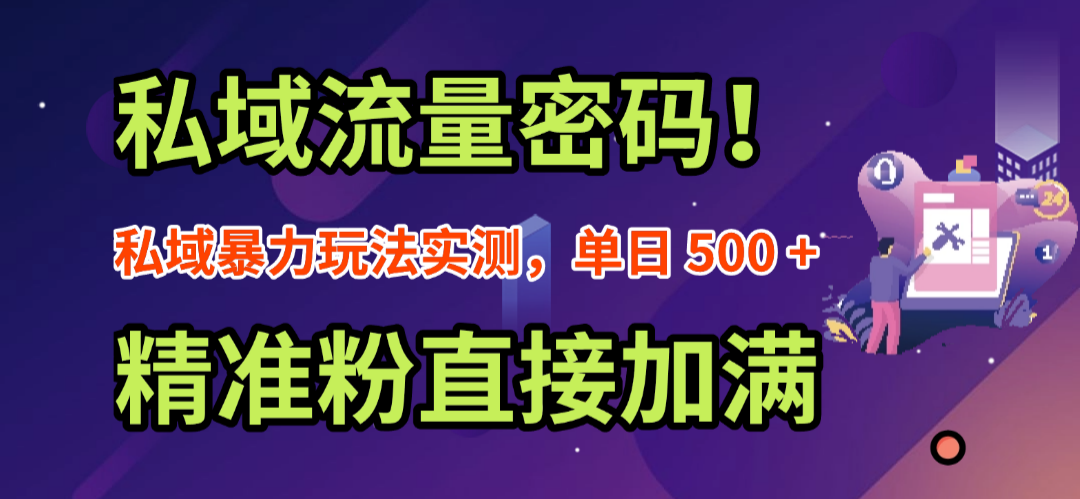 私域流量密码！私域暴力玩法实测，单日 500 + 精准粉直接加满-黑猫轻创业