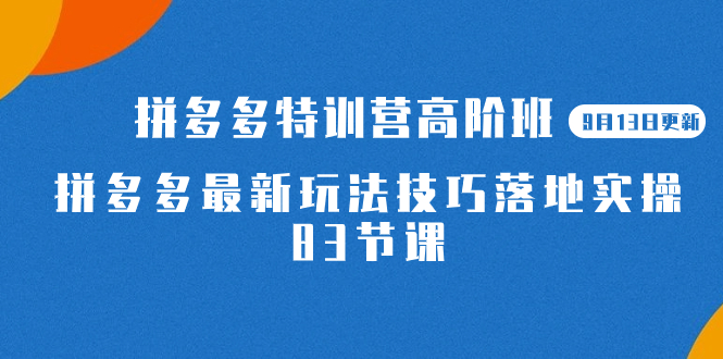 2023拼多多·特训营高阶班【9月13日更新】拼多多最新玩法技巧落地实操-83节-黑猫轻创业