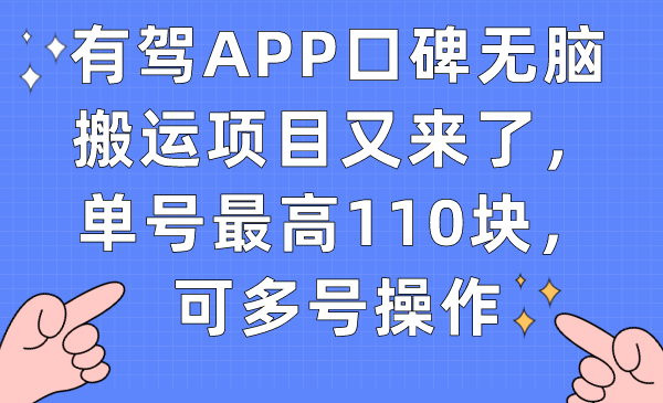 有驾APP口碑无脑搬运项目又来了，单号最高110块，可多号操作-黑猫轻创业