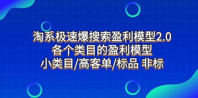 淘系极速爆搜索盈利模型2.0,各个类目的盈利模型,小类目/高客单/标品 非标-黑猫轻创业