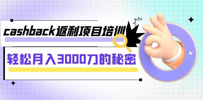 cashback返利项目培训：轻松月入3000刀的秘密（8节课）-黑猫轻创业
