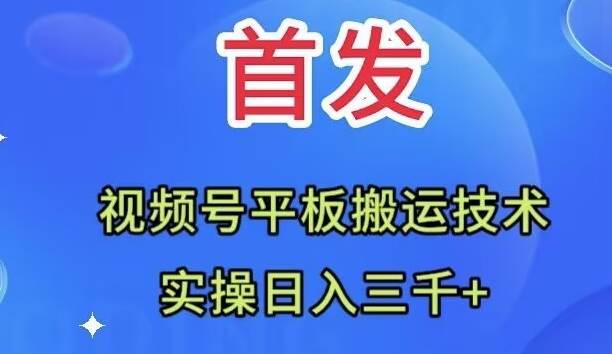全网首发：视频号平板搬运技术，实操日入三千＋-黑猫轻创业