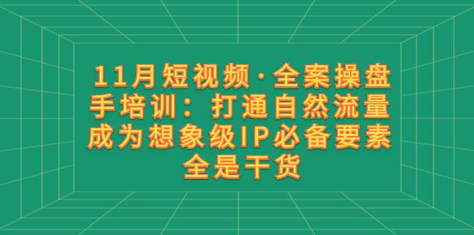 11月短视频·全案操盘手培训:打通自然流量 成为想象级IP必备要素 全是干货-黑猫轻创业