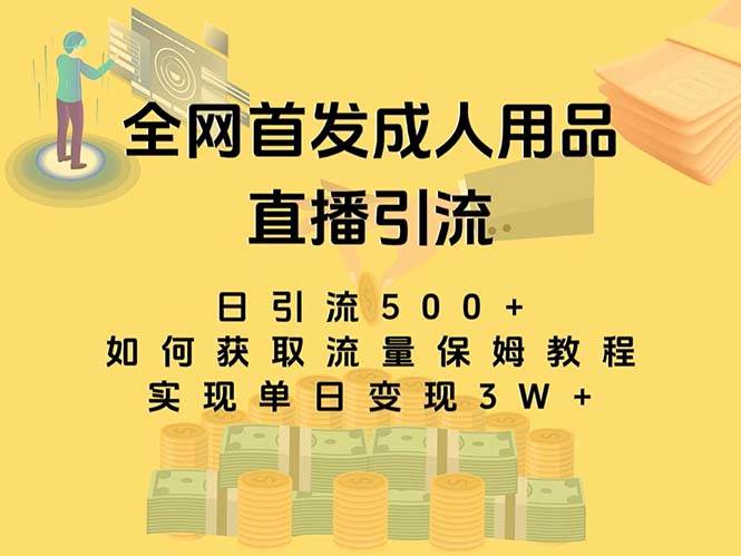 最新全网独创首发，成人用品直播引流获客暴力玩法，单日变现3w保姆级教程-黑猫轻创业