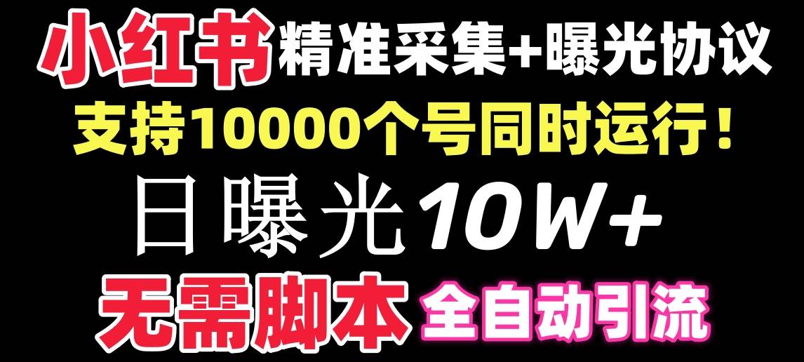 小红书全自动采集 引流协议一体版！无需手机，支持10000-黑猫轻创业