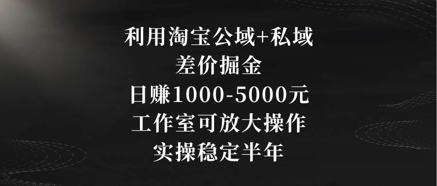 利用淘宝公域+私域差价掘金，日赚1000-5000元，工作室可放大操作，实操...-黑猫轻创业