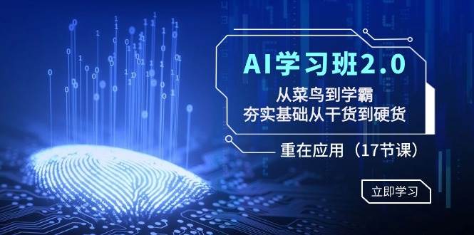 AI学习班2.0：从菜鸟到学霸，夯实基础从干货到硬货，重在应用（17节课）-黑猫轻创业