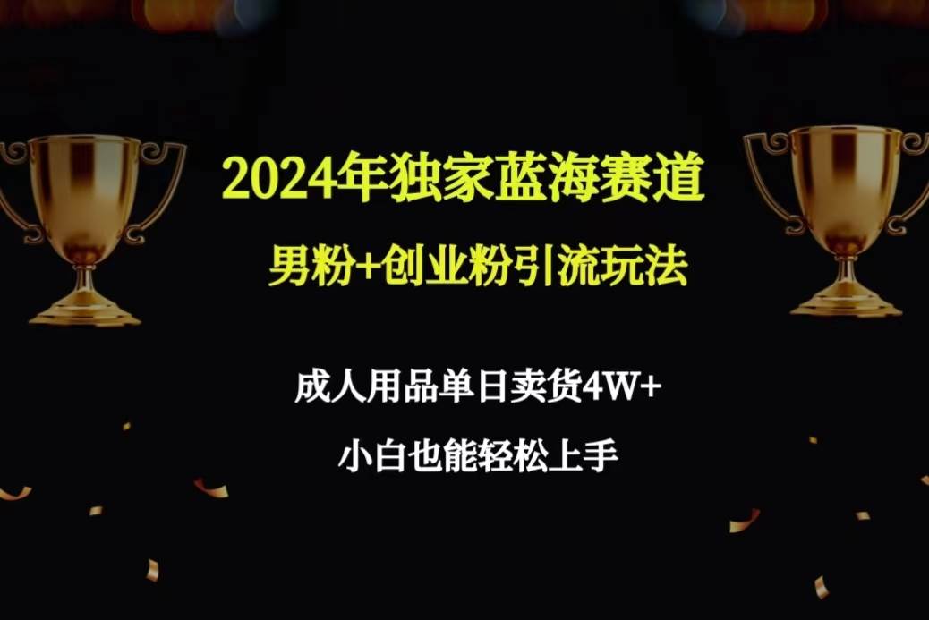 2024年独家蓝海赛道男粉+创业粉引流玩法，成人用品单日卖货4W+保姆教程-黑猫轻创业