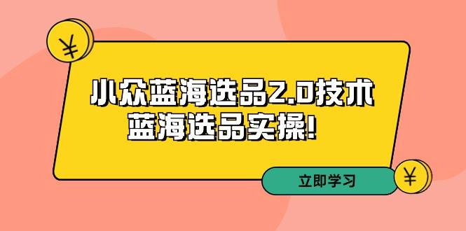 拼多多培训第33期:小众蓝海选品2.0技术-蓝海选品实操!-黑猫轻创业