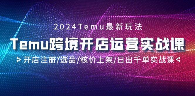 2024Temu跨境开店运营实战课,开店注册/选品/核价上架/日出千单实战课-黑猫轻创业
