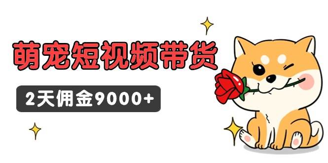 东哲日记·萌宠短视频带货，2天佣金9000+-黑猫轻创业