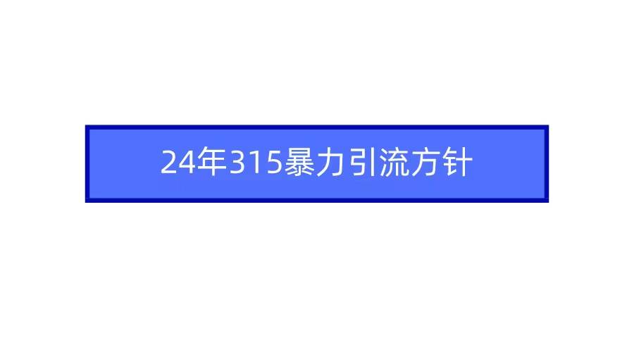 2024年315暴力引流方针-黑猫轻创业
